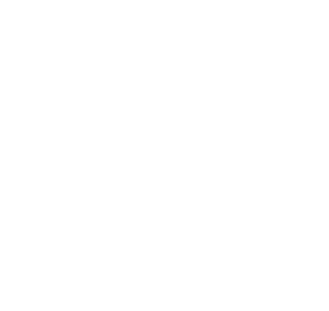 Blink Logistics limited